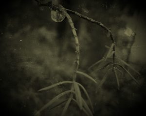 img_20161012_192520