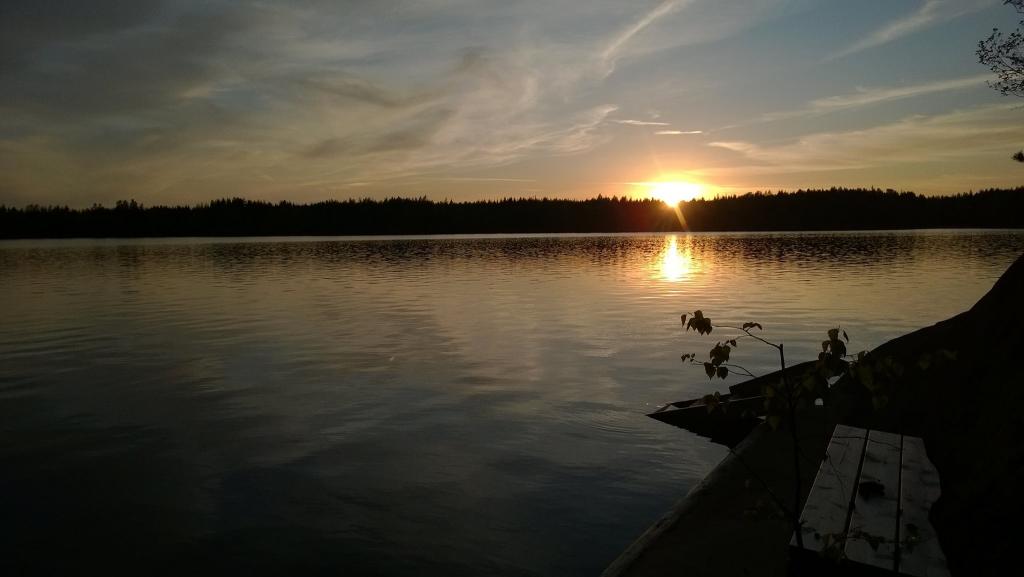 Eläminen tuo kipua